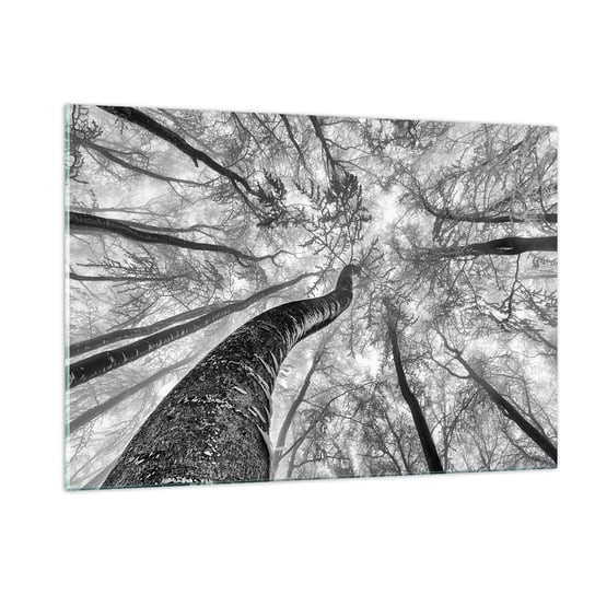 Obraz na szkle - Wyścig do światła - 120x80cm - Las Drzewa Natura - Nowoczesny szklany obraz na ścianę do salonu do sypialni ARTTOR ARTTOR