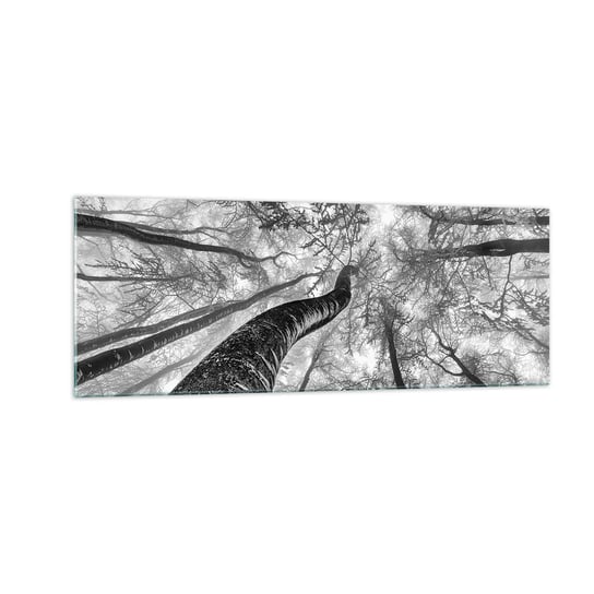 Obraz na szkle - Wyścig do światła - 140x50cm - Las Drzewa Natura - Nowoczesny szklany obraz do salonu do sypialni ARTTOR ARTTOR