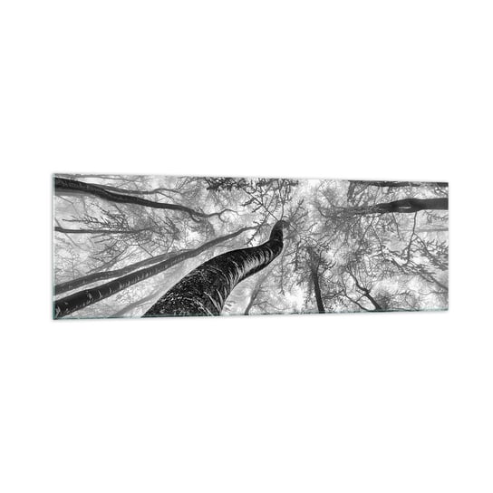 Obraz na szkle - Wyścig do światła - 160x50cm - Las Drzewa Natura - Nowoczesny foto szklany obraz do salonu do sypialni ARTTOR ARTTOR