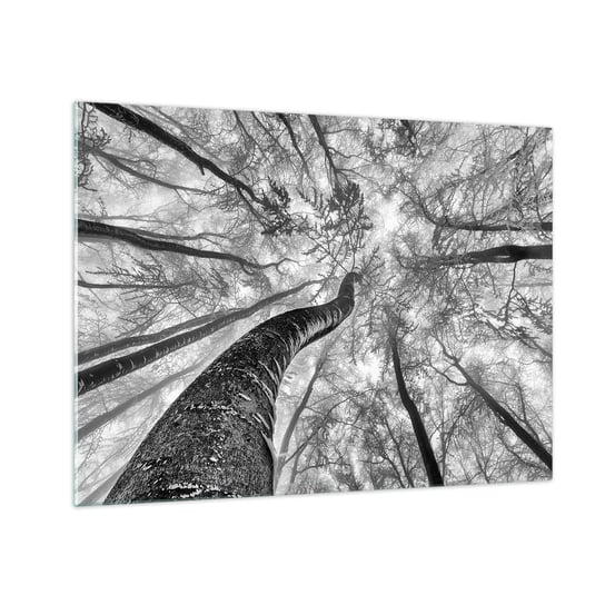 Obraz na szkle - Wyścig do światła - 70x50cm - Las Drzewa Natura - Nowoczesny szklany obraz do salonu do sypialni ARTTOR ARTTOR