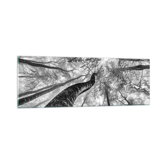 Obraz na szkle - Wyścig do światła - 90x30cm - Las Drzewa Natura - Nowoczesny szklany obraz do salonu do sypialni ARTTOR ARTTOR
