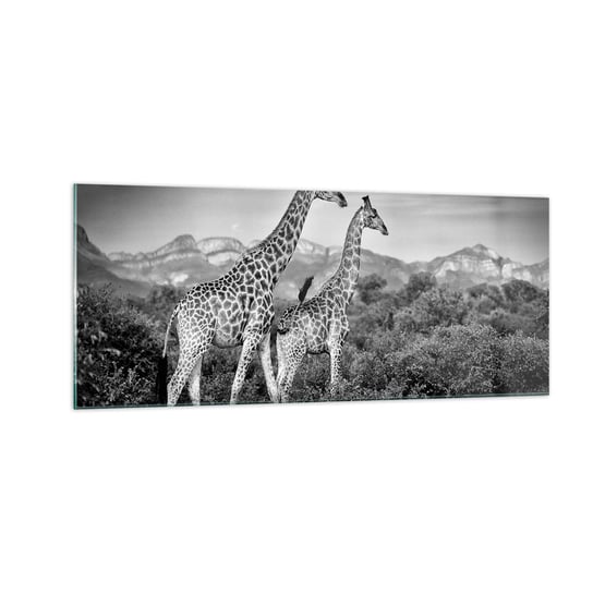 Obraz na szkle - Wyższe sfery w Afryce - 100x40cm - Żyrafa Zwierzęta Afryka - Nowoczesny foto szklany obraz do salonu do sypialni ARTTOR ARTTOR