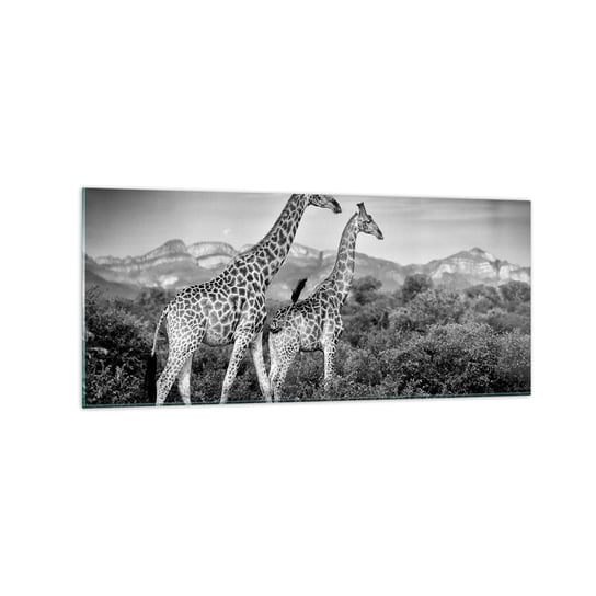 Obraz na szkle - Wyższe sfery w Afryce - 120x50cm - Żyrafa Zwierzęta Afryka - Nowoczesny szklany obraz na ścianę do salonu do sypialni ARTTOR ARTTOR