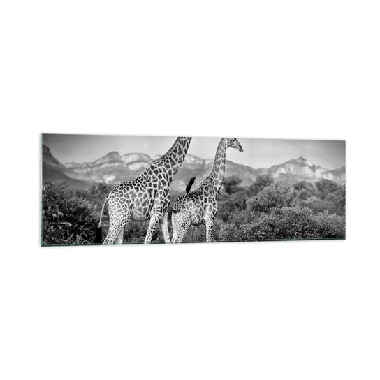 Obraz na szkle - Wyższe sfery w Afryce - 160x50cm - Żyrafa Zwierzęta Afryka - Nowoczesny foto szklany obraz do salonu do sypialni ARTTOR ARTTOR