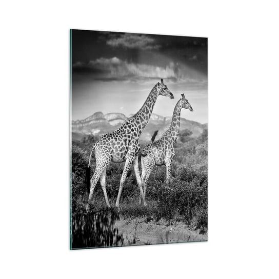Obraz na szkle - Wyższe sfery w Afryce - 50x70cm - Żyrafa Zwierzęta Afryka - Nowoczesny szklany obraz do salonu do sypialni ARTTOR ARTTOR