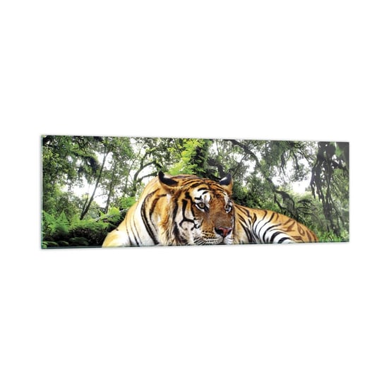 Obraz na szkle - Z wyrazami szacunku - 160x50cm - Tygrys Zwierzęta Drapieżnik - Nowoczesny foto szklany obraz do salonu do sypialni ARTTOR ARTTOR
