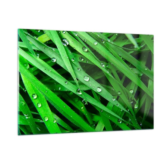 Obraz na szkle - Zagraj w zielone - 120x80cm - Natura Zielona Trawa Ogród - Nowoczesny szklany obraz na ścianę do salonu do sypialni ARTTOR ARTTOR
