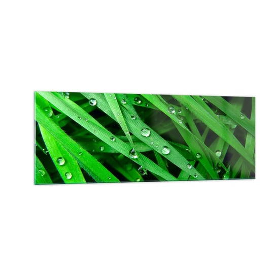 Obraz na szkle - Zagraj w zielone - 140x50cm - Natura Zielona Trawa Ogród - Nowoczesny szklany obraz do salonu do sypialni ARTTOR ARTTOR