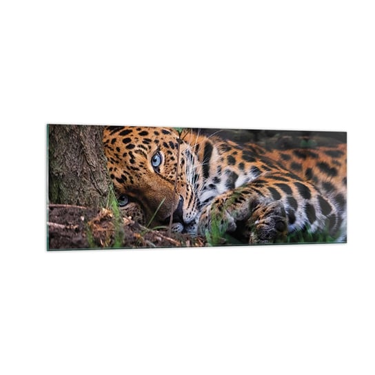 Obraz na szkle - Zaufaj mi - 140x50cm - Lampart Zwierzęta Afryka - Nowoczesny szklany obraz do salonu do sypialni ARTTOR ARTTOR