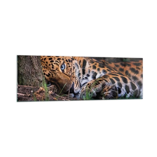 Obraz na szkle - Zaufaj mi - 160x50cm - Lampart Zwierzęta Afryka - Nowoczesny foto szklany obraz do salonu do sypialni ARTTOR ARTTOR