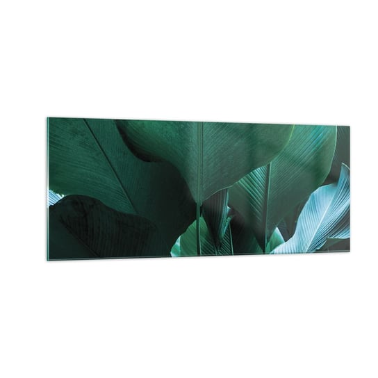 Obraz na szkle - Zwrócone do światła - 100x40cm - Liść Bananowca Bananowiec Roślina - Nowoczesny foto szklany obraz do salonu do sypialni ARTTOR ARTTOR
