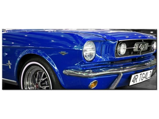 Obraz Niebieski Mustang, 100x40 cm Oobrazy
