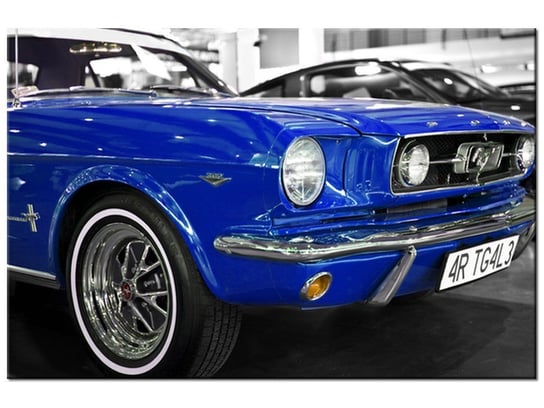 Obraz Niebieski Mustang, 120x80 cm Oobrazy