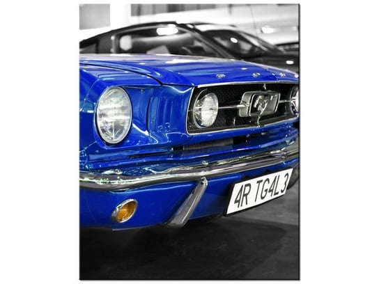 Obraz Niebieski Mustang, 40x50 cm Oobrazy