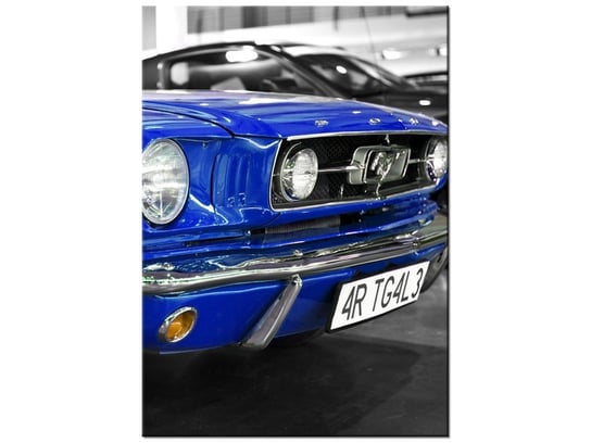 Obraz Niebieski Mustang, 50x70 cm Oobrazy