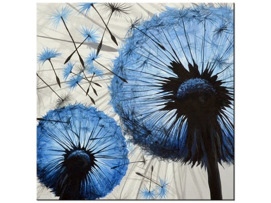 Obraz Niebieskie dmuchawce, 40x40 cm Oobrazy