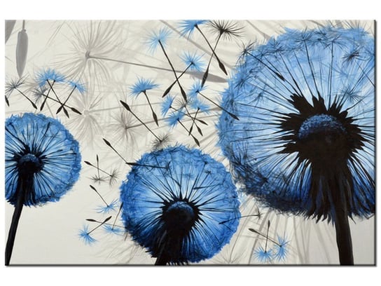 Obraz Niebieskie dmuchawce, 90x60 cm Oobrazy