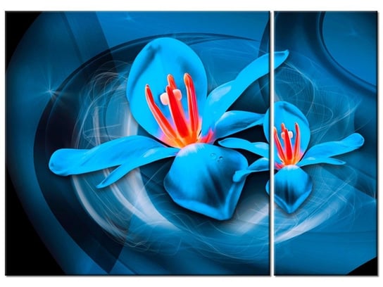 Obraz Niebieskie kosmiczne kwiaty - Jakub Banaś, 2 elementy, 70x50 cm Oobrazy