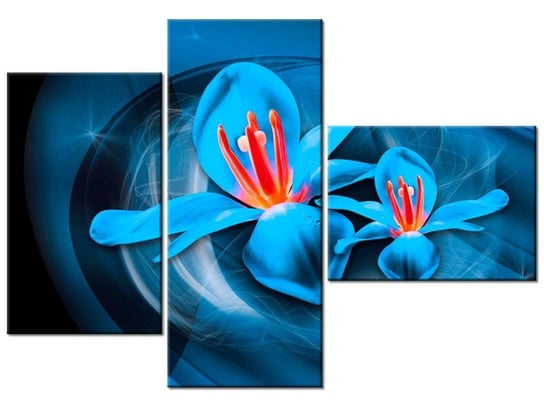 Obraz Niebieskie kosmiczne kwiaty - Jakub Banaś, 3 elementy, 100x70 cm Oobrazy