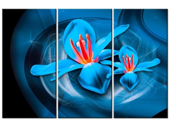 Obraz Niebieskie kosmiczne kwiaty - Jakub Banaś, 3 elementy, 90x60 cm Oobrazy