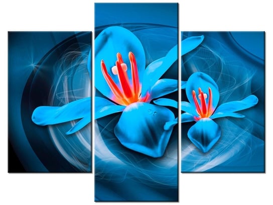 Obraz Niebieskie kosmiczne kwiaty - Jakub Banaś, 3 elementy, 90x70 cm Oobrazy