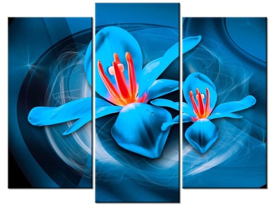 Obraz Niebieskie kosmiczne kwiaty - Jakub Banaś, 3 elementy, 90x70 cm Oobrazy
