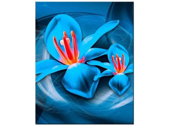 Obraz Niebieskie kosmiczne kwiaty - Jakub Banaś, 40x50 cm Oobrazy