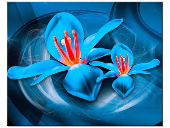 Obraz Niebieskie kosmiczne kwiaty - Jakub Banaś, 50x40 cm Oobrazy