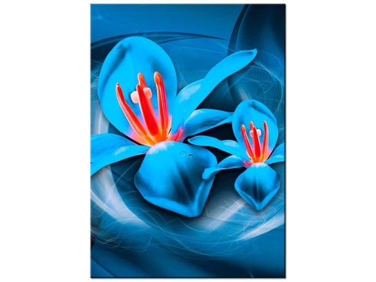 Obraz Niebieskie kosmiczne kwiaty - Jakub Banaś, 50x70 cm Oobrazy