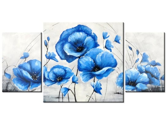 Obraz Niebieskie Maki, 3 elementy, 80x40 cm Oobrazy