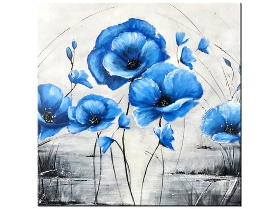 Obraz Niebieskie Maki, 40x40 cm Oobrazy