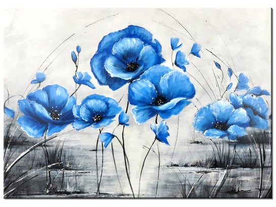 Obraz Niebieskie Maki, 70x50 cm Oobrazy