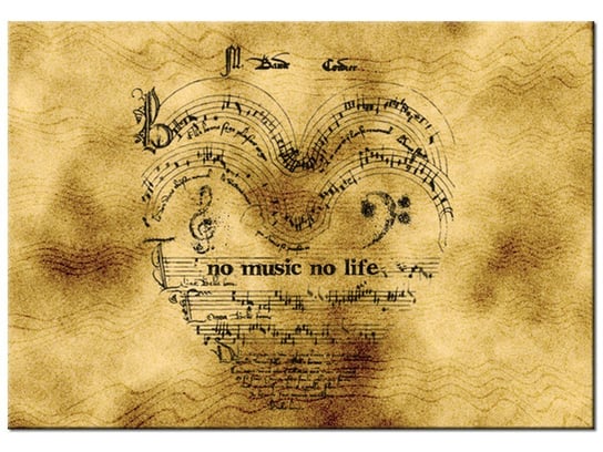 Obraz No music no life, 100x70 cm Oobrazy