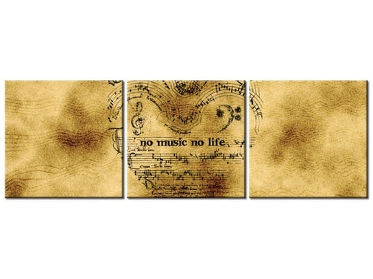 Obraz No music no life, 3 elementy, 150x50 cm Oobrazy