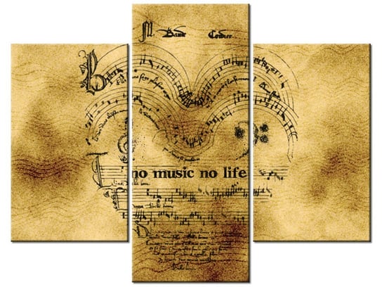 Obraz No music no life, 3 elementy, 90x70 cm Oobrazy