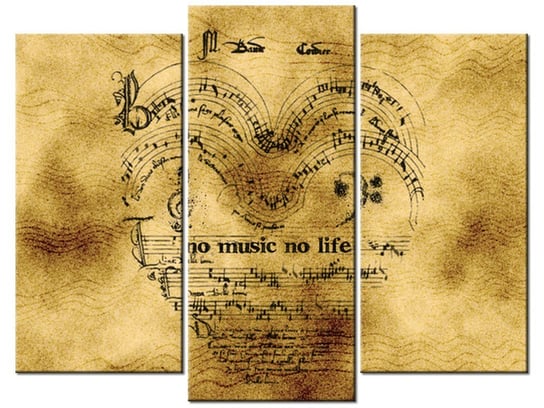 Obraz No music no life, 3 elementy, 90x70 cm Oobrazy