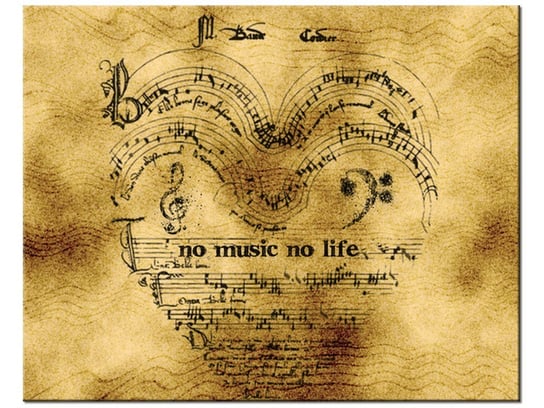 Obraz No music no life, 50x40 cm Oobrazy