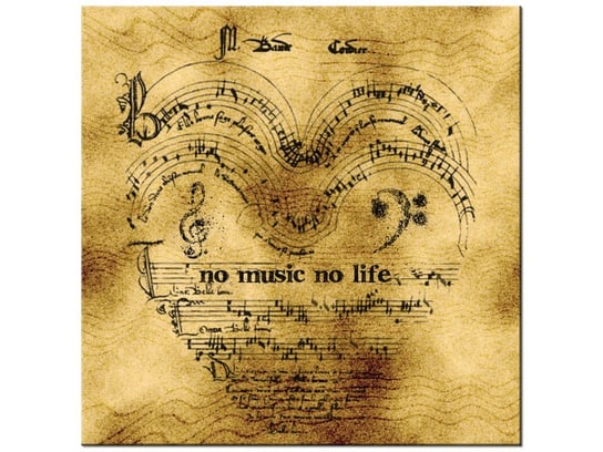 Obraz No music no life, 50x50 cm Oobrazy