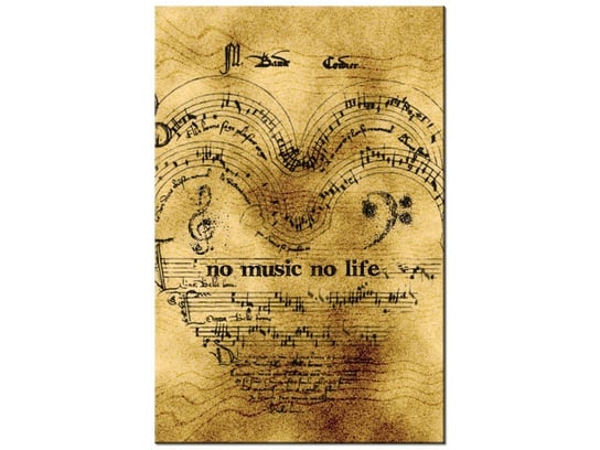 Obraz No music no life, 80x120 cm Oobrazy