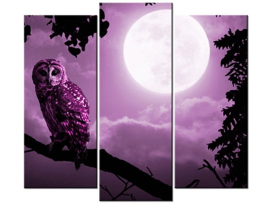Obraz Nocny pejzaż z sową, 3 elementy, 90x80 cm Oobrazy