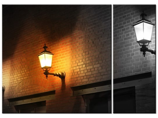 Obraz Nocny świetlik, 2 elementy, 70x50 cm Oobrazy