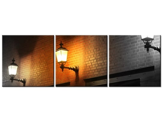 Obraz Nocny świetlik, 3 elementy, 120x40 cm Oobrazy