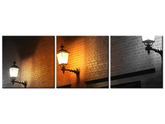 Obraz Nocny świetlik, 3 elementy, 150x50 cm Oobrazy