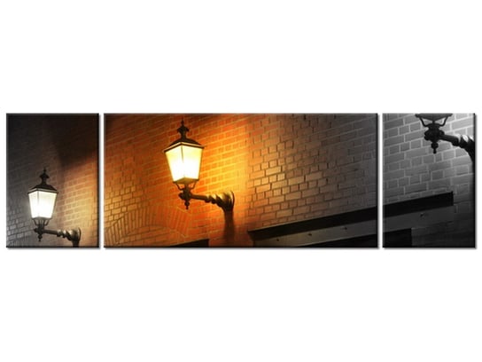 Obraz Nocny świetlik, 3 elementy, 170x50 cm Oobrazy