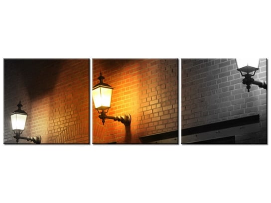 Obraz Nocny świetlik, 3 elementy, 90x30 cm Oobrazy