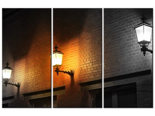 Obraz Nocny świetlik, 3 elementy, 90x60 cm Oobrazy