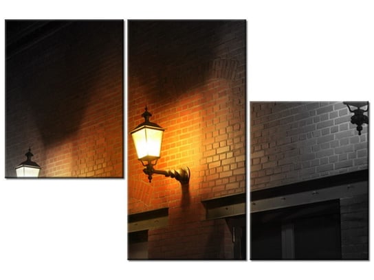 Obraz Nocny świetlik, 3 elementy, 90x60 cm Oobrazy