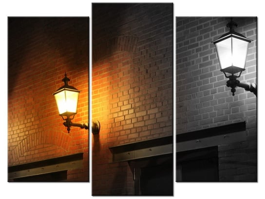 Obraz Nocny świetlik, 3 elementy, 90x70 cm Oobrazy