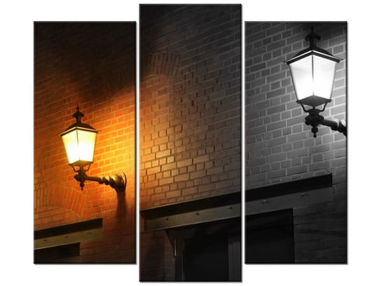 Obraz Nocny świetlik, 3 elementy, 90x80 cm Oobrazy