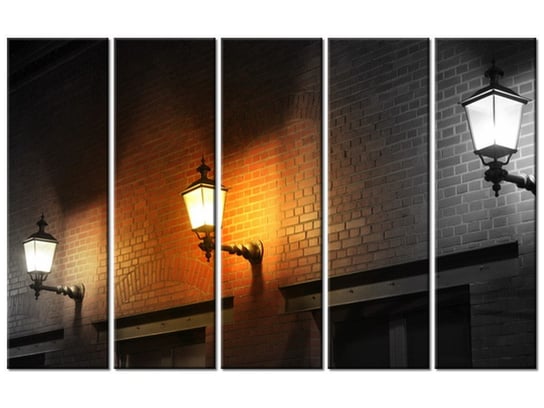 Obraz Nocny świetlik, 5 elementów, 100x63 cm Oobrazy